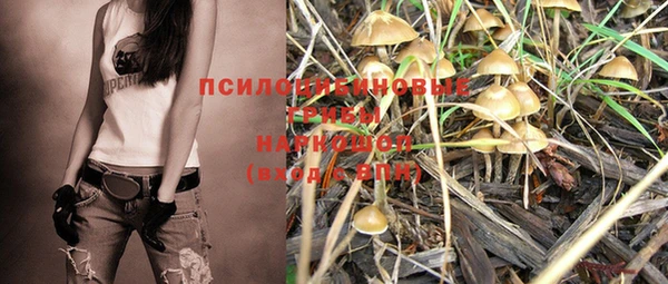 дурь Алексин